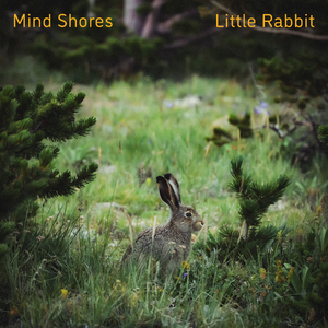 美女趴好扒开屁股受罚
