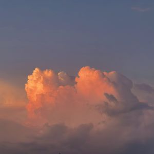 美女趴好扒开屁股受罚
